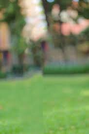 Hd Blur Background For Photo Editing I Picsart Photoshop Tutorial Photoshop C Blurred Background Photography Photo Background Images Dslr Background Images This video i am showing how to get how to edit dslr photo in picsart. hd blur background for photo editing i