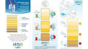 Urine Color Chart Hydration For Health