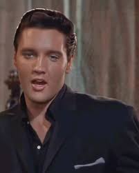 Terry Gaffney (1terrygaffney)