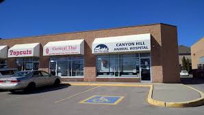 Maybe you would like to learn more about one of these? Canyon Hill Animal Hospital 11000 Yonge Street Richmond Hill Reviews And Appointments Topvet