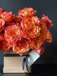 Discover 6404 free rose png images with transparent backgrounds. Posy Floral Design Free Spirit Roses