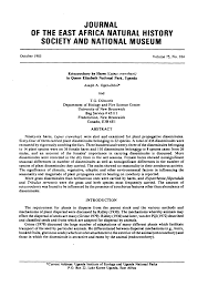 Image result for Harpachne schimperi