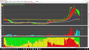 Juncljs Profile Comments I3investor