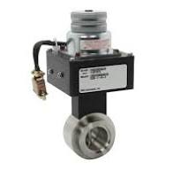 253B-1-40-2 Exhaust Throttle Valve