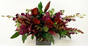 Pin On Plants Florals Wreaths