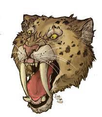 Saber Tooth Tiger Drawing Saber Tooth Tiger Skull Tattoo Saber Tiger Drawing Tiger Skull Sabertooth