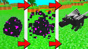 How To Hatch A Dragon Egg In Minecraft Youtube