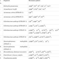 Prewedding cinematic anak motor (umam & sinta). 517447 Pdfs Review Articles In Cities
