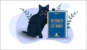 These creative black cat names inspired by famous black cats are perfect for your feline friend. 100 Popular Halloween Cat Names We Re All About Cats