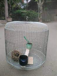 Cara membuat sangkar burung tekukur dan puter bahan cover kipas dan kawat ram. Cara Buat Kandang Burung Dari Kawat Tentang Kolam Kandang Ternak