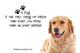 100 Best Quotes About Dogs Famous Dog Quotes Dog Quotes Funny Dog Quotes Good Morning Quote