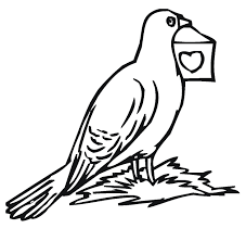 Select from 35715 printable crafts of cartoons, nature, animals, bible and many more. Free Printable Pigeon Coloring Pages For Kids