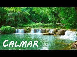 Musica relaxante & ansiedade tratamento. Musica Relajante Zen Para Meditacion Calmar Y Sanar El Alma Youtube Musica De Relajacion Musica Relajante Musica Para Relajarse