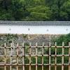 More images for contoh pagar bambu keren » 1