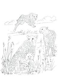 Collection Of Cheetah Coloring Pages Ideas Animal Coloring Pages Zoo Animal Coloring Pages Coloring Pages
