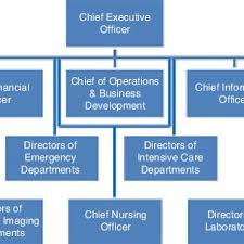 1 Typical Organizational Chart For A Hospital Download