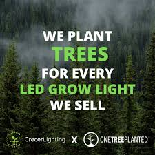 Maybe you would like to learn more about one of these? Crecer Lighting Startseite Facebook