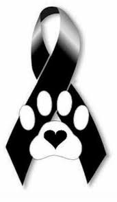 Duelo Por Mi Mascota Cuando Muere Un Perro Muerte De Un Perro Perder Una Mascota