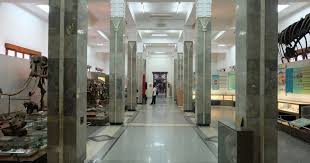 Lowongan kerja museum geologi bandung : Museum Geologi Bandung Rute Lokasi Dan Harga Tiket Masuk