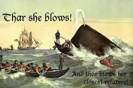 See more of thar she blows on facebook. Thar She Blows Past Time Paleo
