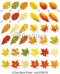 Set of autumn maple leaves acer negundo and acer saccharinum, watercolor drawing on a white background. Pics For Gt Autumn Leaves Drawings Fall Leaves Drawing Leaf Drawing Art Drawing Images