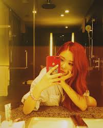 Mirror Selfie Rose Selebritas Idol Kpop