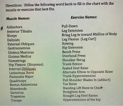 This chart is helpful in identifying the muscles that are worked through various details of two full body workouts for beginners with suggested modifications for intermediate and advanced. Solved Directions Utilize The Following Word Bank To Fil Chegg Com