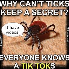 Tik Tok Dad Joke Cheesy Jokes Bad Dad Jokes Dad Humor