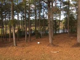 Foxfire golf and country club is a private, audubon gated community built upon 385 acres of land and has been designated a certified audubon cooperative sanctuary by the audubon. Foxfire Real Estate Foxfire Nc Homes For Sale Zillow