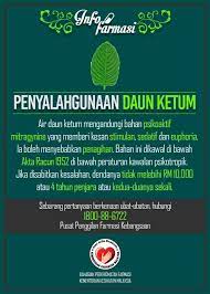 Jika sudah sulit tidur maka akan mengganggu aktivitas keesokan harinya. Penghulu Ubat Apa Itu Daun Ketum Ada Yang Bertanya Facebook