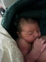 The Nest Birth & Wellness...