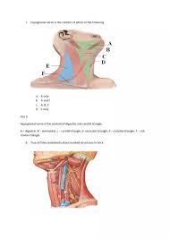 Image result for Neck Exam