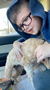 Amanda Buxton (@ambuxton) • Instagram photos and videos