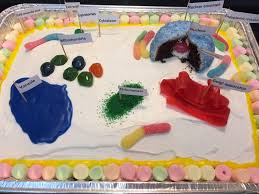 In higher plant cells, that polysaccharide is usually cellulose. How To Make An Edible Plant Cell Project For School