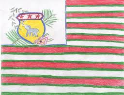 Black American Flag With Green Stripe By Kristan Heverin I Decided To Use The American Flag As The Basis For The American Republic And Keep The Red St Lunar Chronicles American Flag Green Stripes