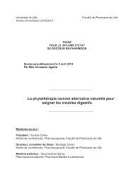 Https Pepite Depot Univ Lille2 Fr Nuxeo Site Esupversions E4b30b06 Bede 4b98 9ac5 59e1555ac6ea