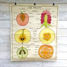 Affiche Scolaire 7 Les Feuilles 8 Les Fruits Rossignol Brocanteandco Boutique En Ligne De Brocante Affiches Scolaires Ecole Vintage Affiche