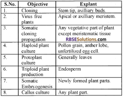 Check spelling or type a new query. Rbse Solutions For Class 12 Biology Chapter 16 Plant Tissue Culture Rbse Guide