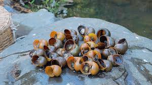 This page is automatically generated based on what facebook users are interested in, and not affiliated with or endorsed by anyone associated with the topic. Https M Facebook Com Friends Center Requests Outgoing Friends Center Requests Outgoing Soft Side Area Guayaquil Ecuador Interest Facebook