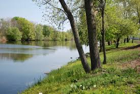 Mystic River Watershed Association | MyRWA | Boston