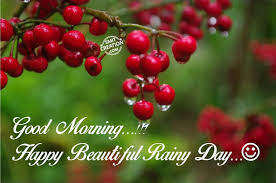 55 Best Rainy Day Wish Pictures And Photos Good Morning And Happy Rainy Day 1501x997 Download Hd Wallpaper Wallpapertip 79 good morning images with flowers. 55 best rainy day wish pictures and