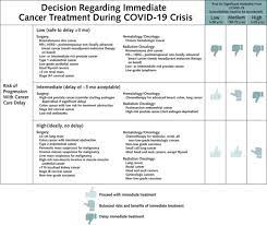 Treatment for bladder cancer depends on your overall health, progression of the c. Example Of A Risk Benefit Decision Tool For Cancer Treatment During The Download Scientific Diagram