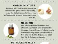 Pin On Doterra