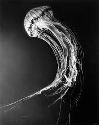 Image result for robert longo waves