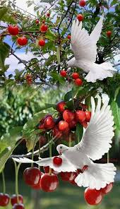 Nature Birds And Flowers Wallpaper My Inner Landscape Most Beautiful Birds Beautiful Birds Beautiful Nature Pictures