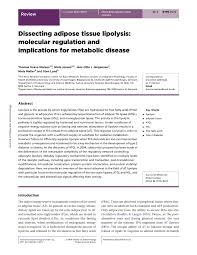 Pdf Dissecting Adipose Tissue Lipolysis Molecular Regulation And Implications For Metabolic Disease