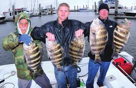 Unexploded bomb found Tuesday in Yulee