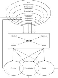 A multidisciplinary group of exercise physiologists, athletic medicine a multidisciplinary group of exercise physiologists, athletic medicine doctors, sports coaches, and tutors that works to offer the pretty much all of the. A Systematic Review Of The Psychological And Social Benefits Of Participation In Sport For Adults Informing Development Of A Conceptual Model Of Health Through Sport Springerlink