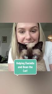 Helping Danielle Train Her Parkour Cat Bean
