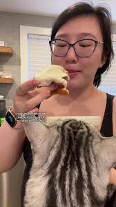 Replying to @cupidsflush warmed cinnamon roll is heaven ❤️ thanks for the  tips #cicianddiamond #cat #cinnamonroll #foodtiktok #eating #happy  #happiness #food #cinnamonrolls